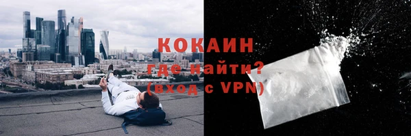 mdpv Богородицк