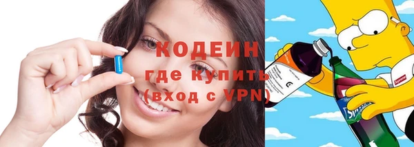 индика Богданович