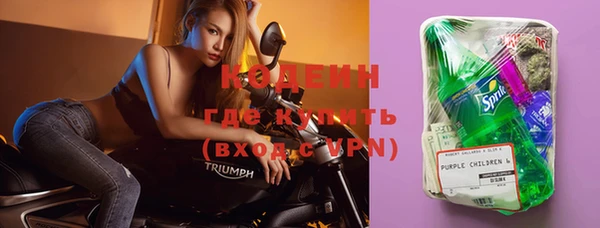 индика Богданович