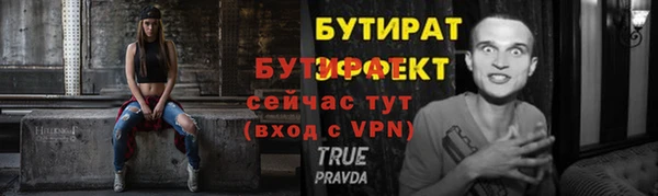 индика Богданович