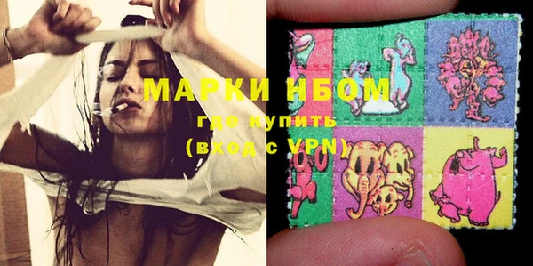 индика Богданович