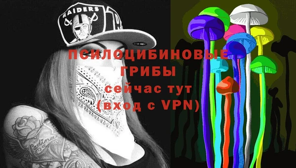 ешки Бугульма