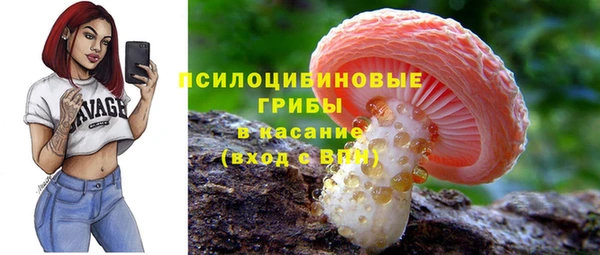 индика Богданович