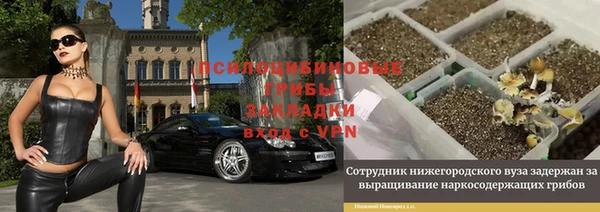 бошки Богородск